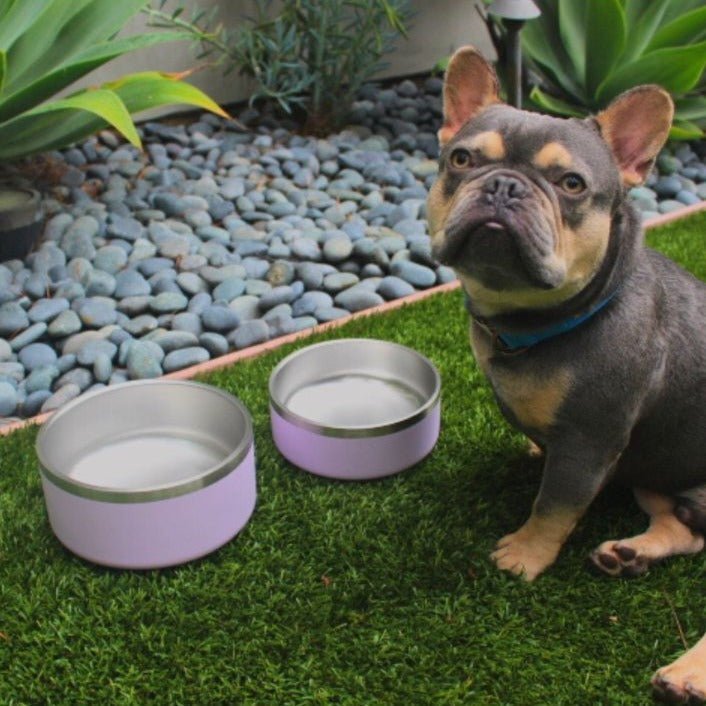 Tilley + Me Stainless Steel Pet Bowl – Non-Slip, Durable & Dishwasher Safe | 32oz and 64oz - OVERLANDERS Outfitter