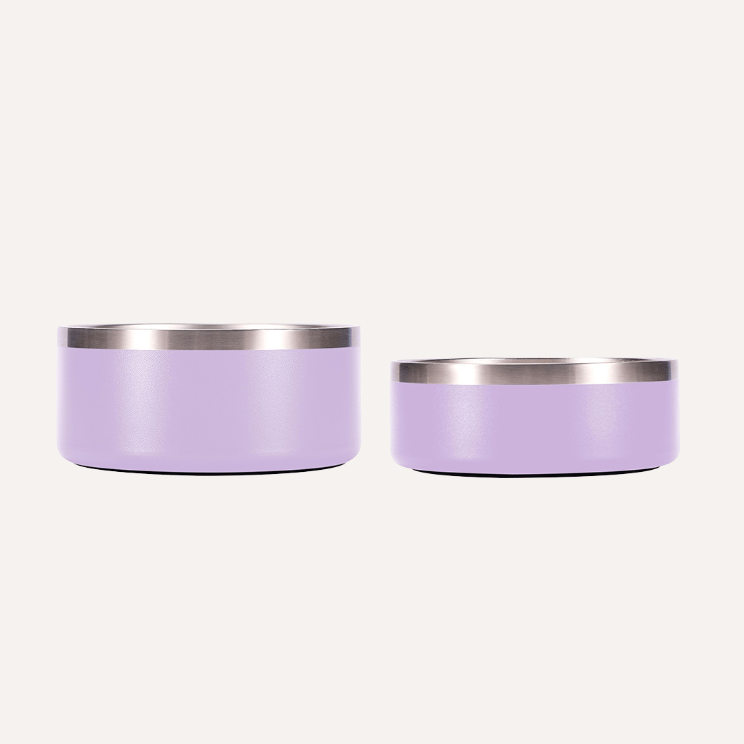 Tilley + Me Stainless Steel Pet Bowl – Non-Slip, Durable & Dishwasher Safe | 32oz and 64oz - OVERLANDERS Outfitter