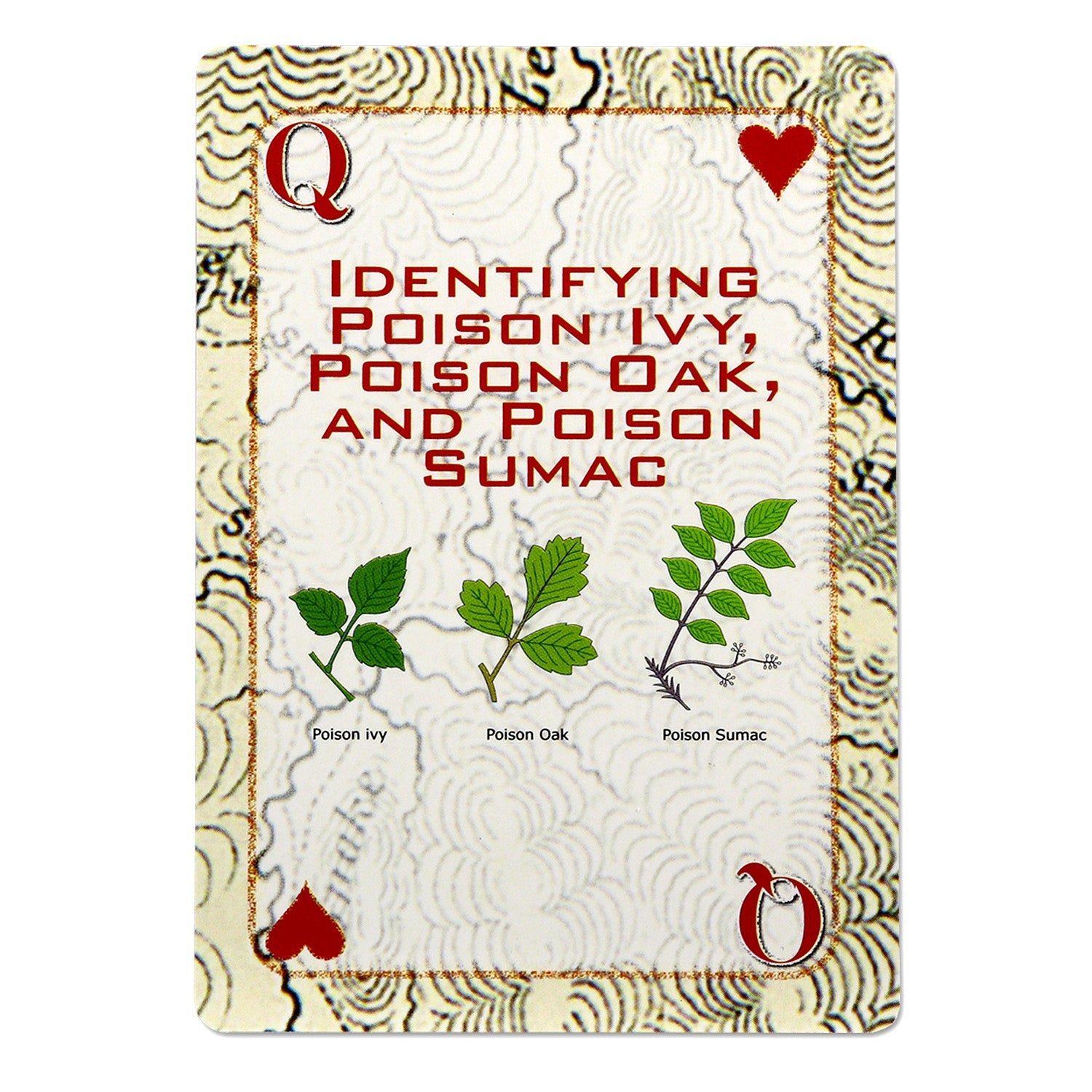 Quake Kits Survival Playing Cards | Essential Skills on Every Card - We The Collective