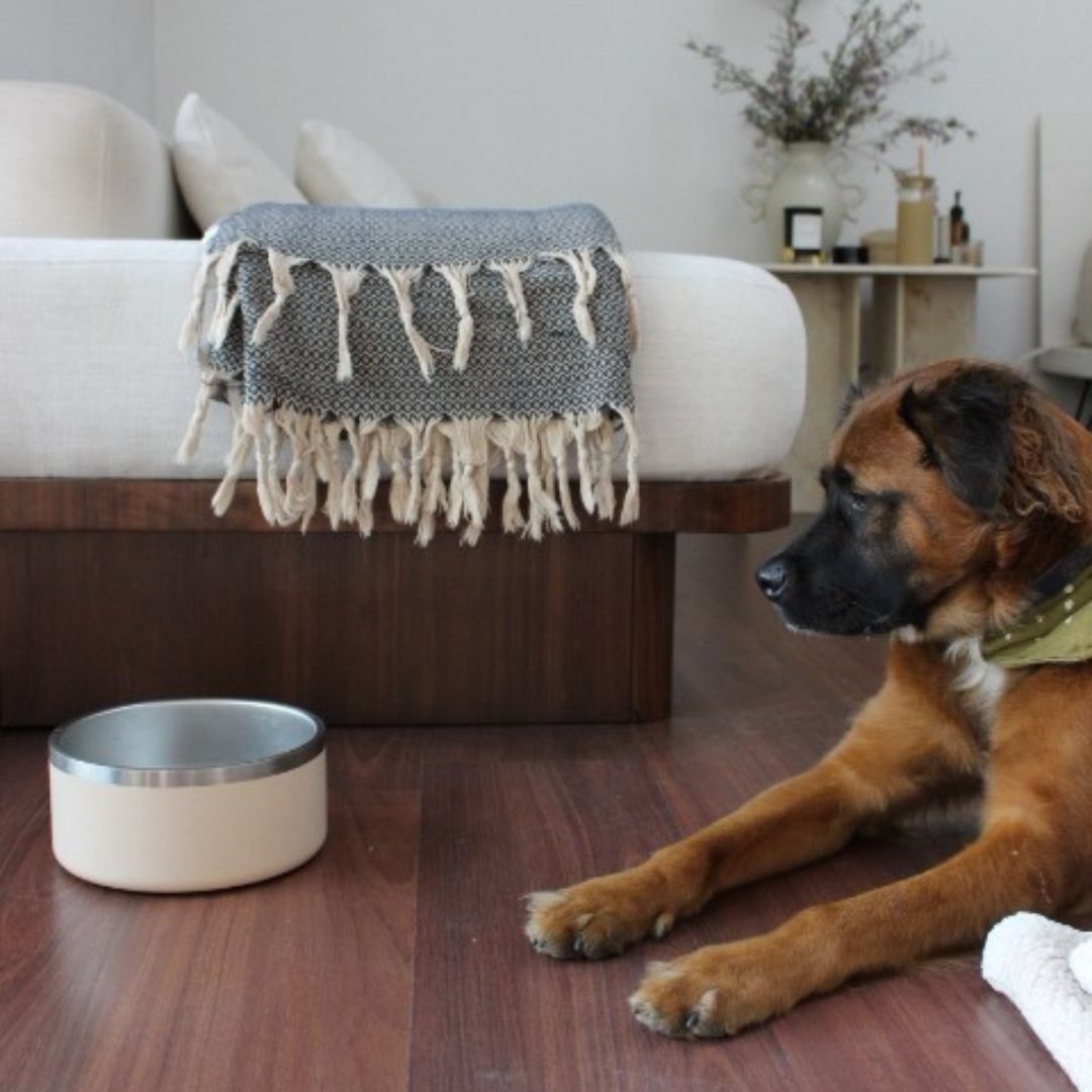 Tilley + Me Stainless Steel Pet Bowl – Non-Slip, Durable & Dishwasher Safe | 32oz and 64oz - OVERLANDERS Outfitter