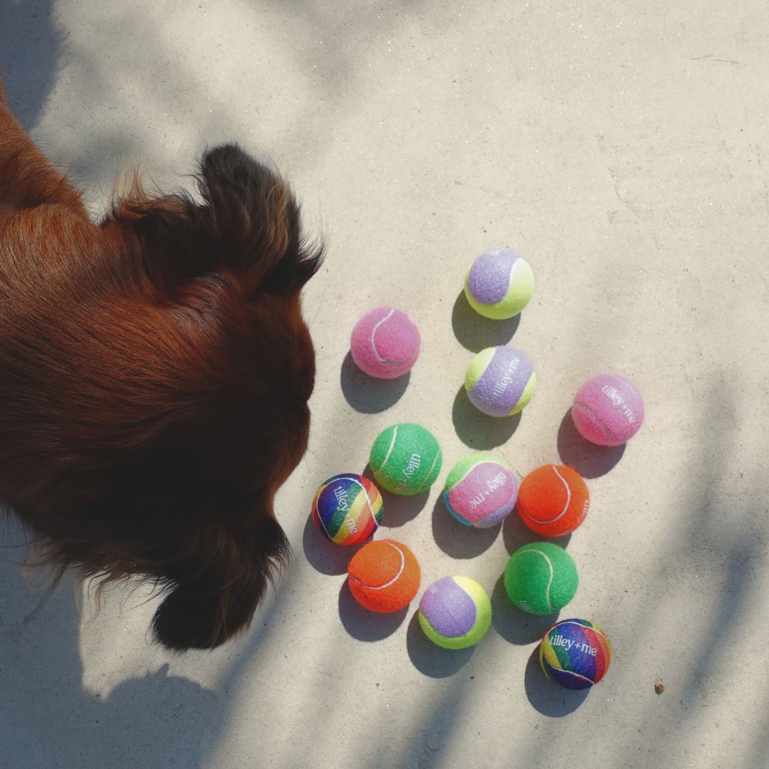 Tilley + Me Tennis Ball for Dogs - OVERLANDERS Outfitter