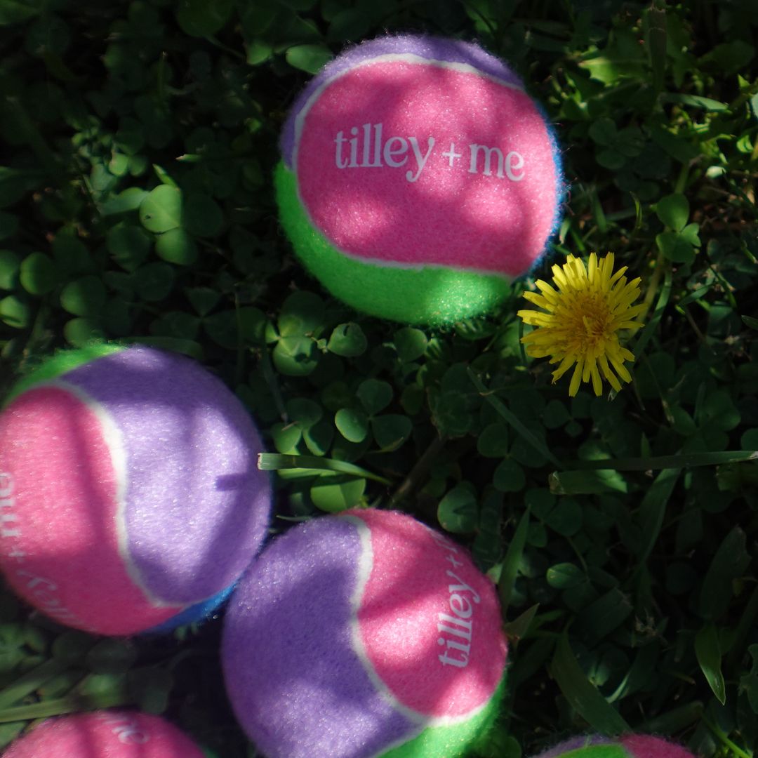Tilley + Me Tennis Ball for Dogs - OVERLANDERS Outfitter