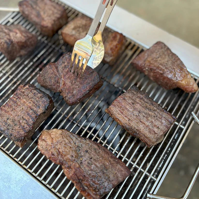 TOAKS Grill: Compact Portable Outdoor Cooking