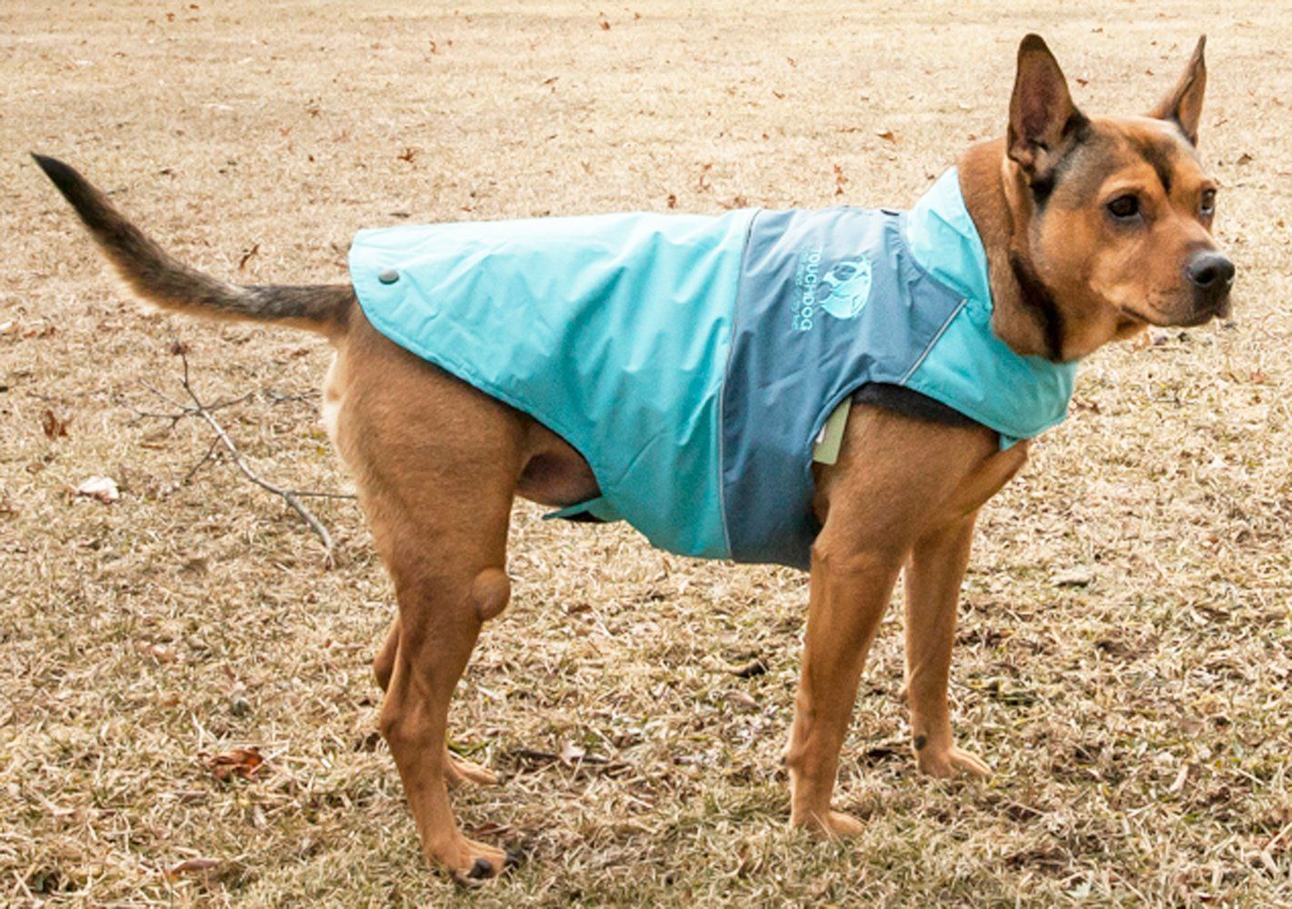 Touchdog Lightening-Shield 2-in-1 waterproof dog jacket with removable layers, designed by Pet Life, featuring black shark technology.