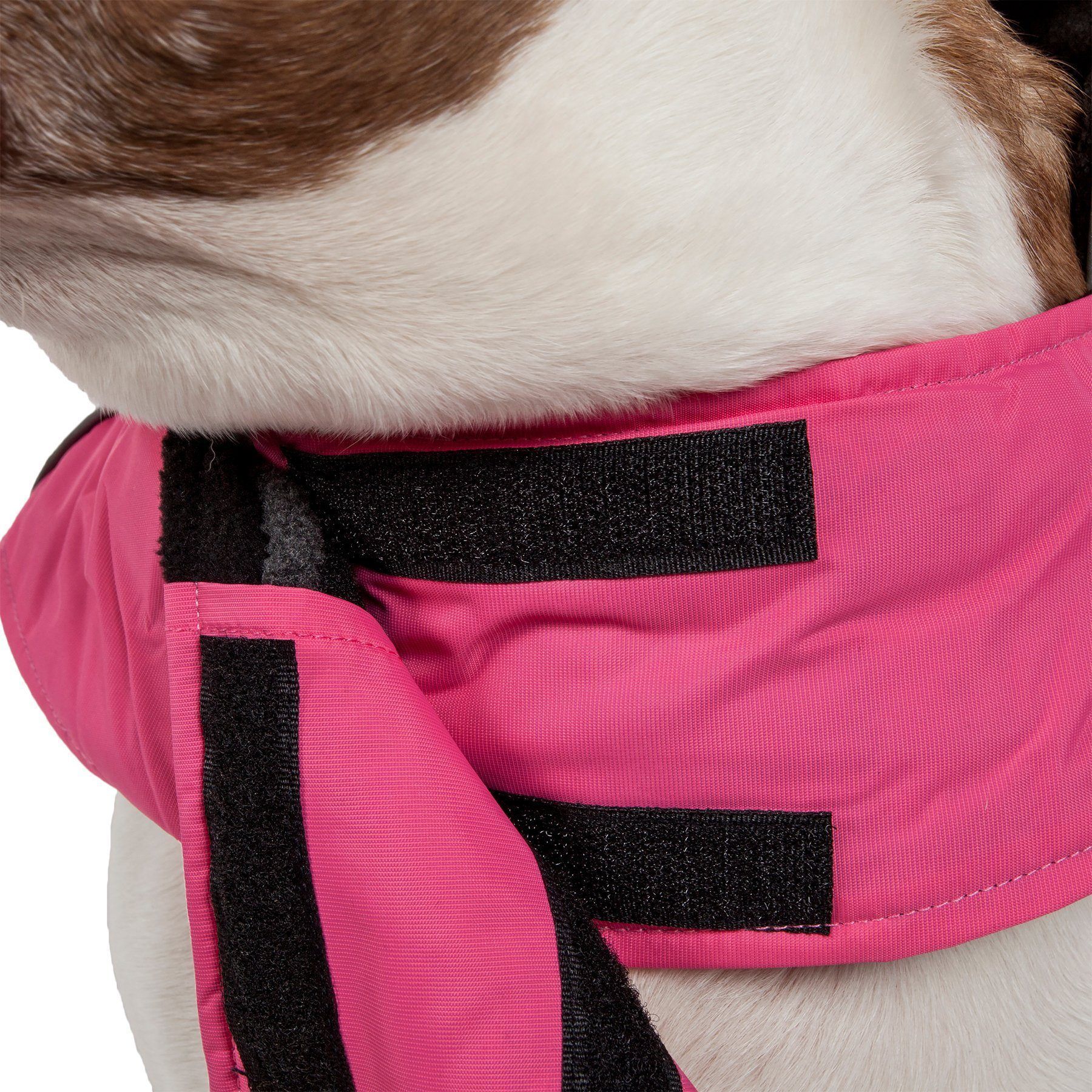 Touchdog Lightening-Shield waterproof 2-in-1 dog jacket with removable layers, designed by Pet Life, featuring black shark technology.