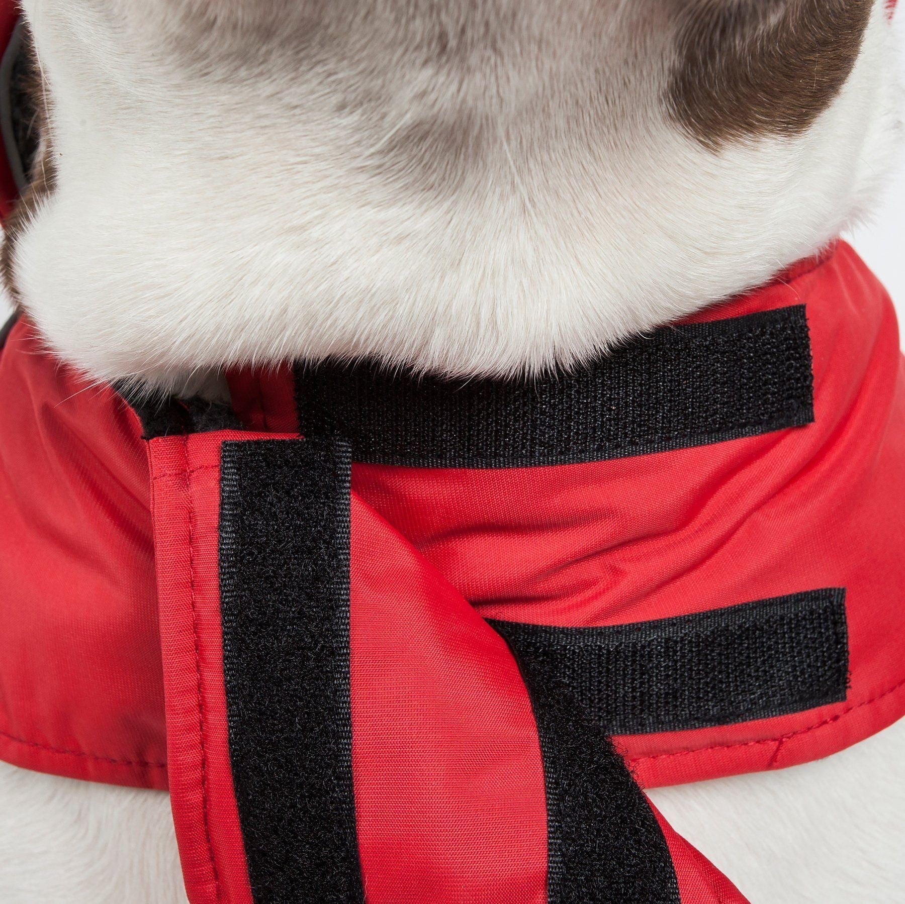 Touchdog Lightening-Shield 2-in-1 waterproof dog jacket with removable layers, designed for Pet Life, in black with Shark Technology details.
