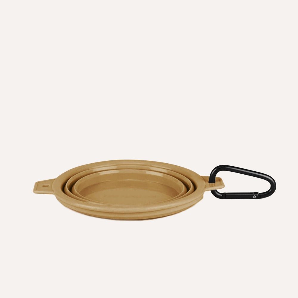 Tilley + Me collapsible travel dog food and water bowl with clip, compact, reusable, and easy to clean for on-the-go pet hydration.