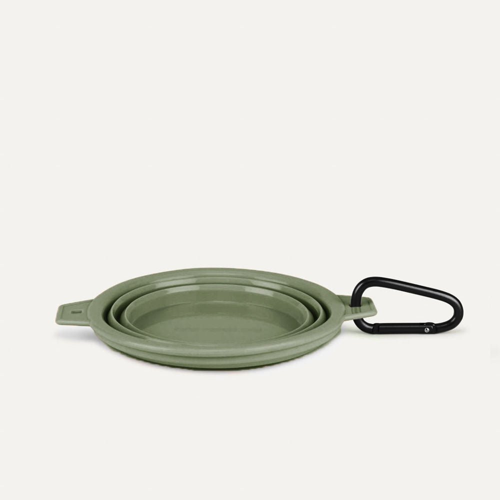 Tilley + Me collapsible travel dog bowl with clip, compact, reusable, and easy to clean for convenient pet hydration on the go.