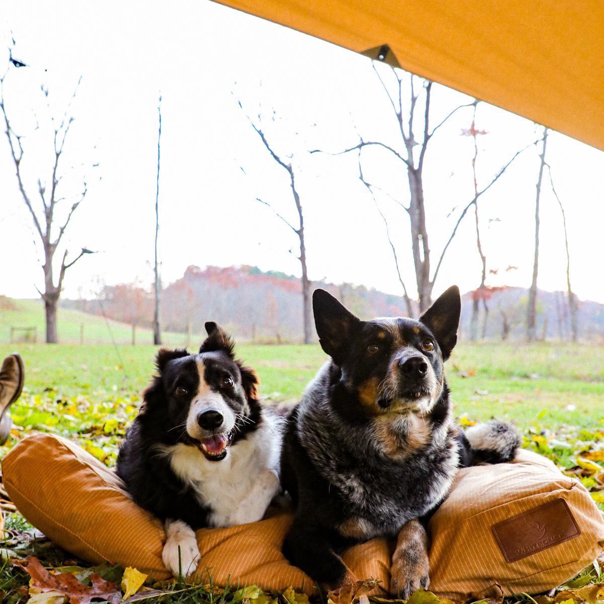 Sunshade Tarp 170 - OVERLANDERS Outfitter