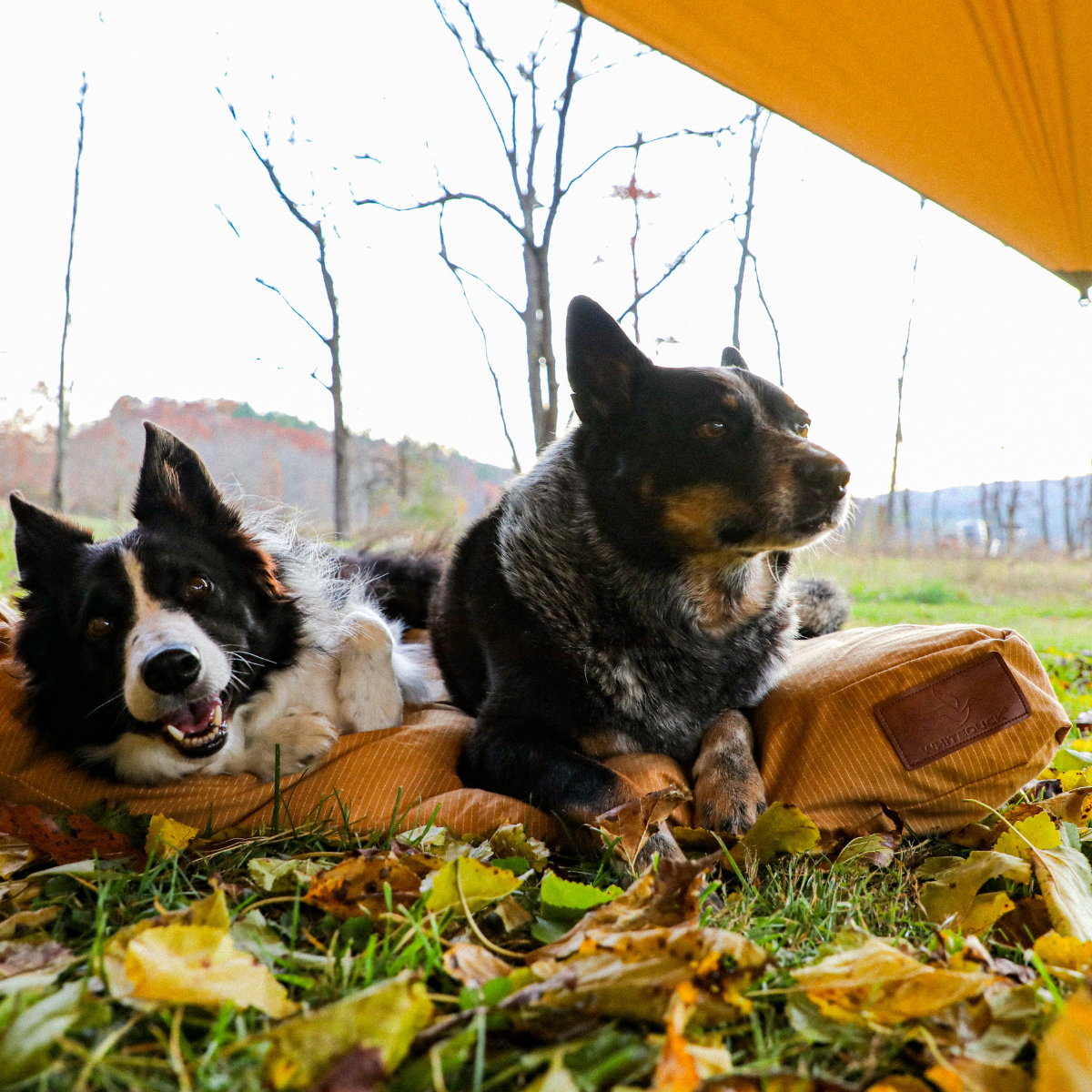 Sunshade Tarp 260 - OVERLANDERS Outfitter