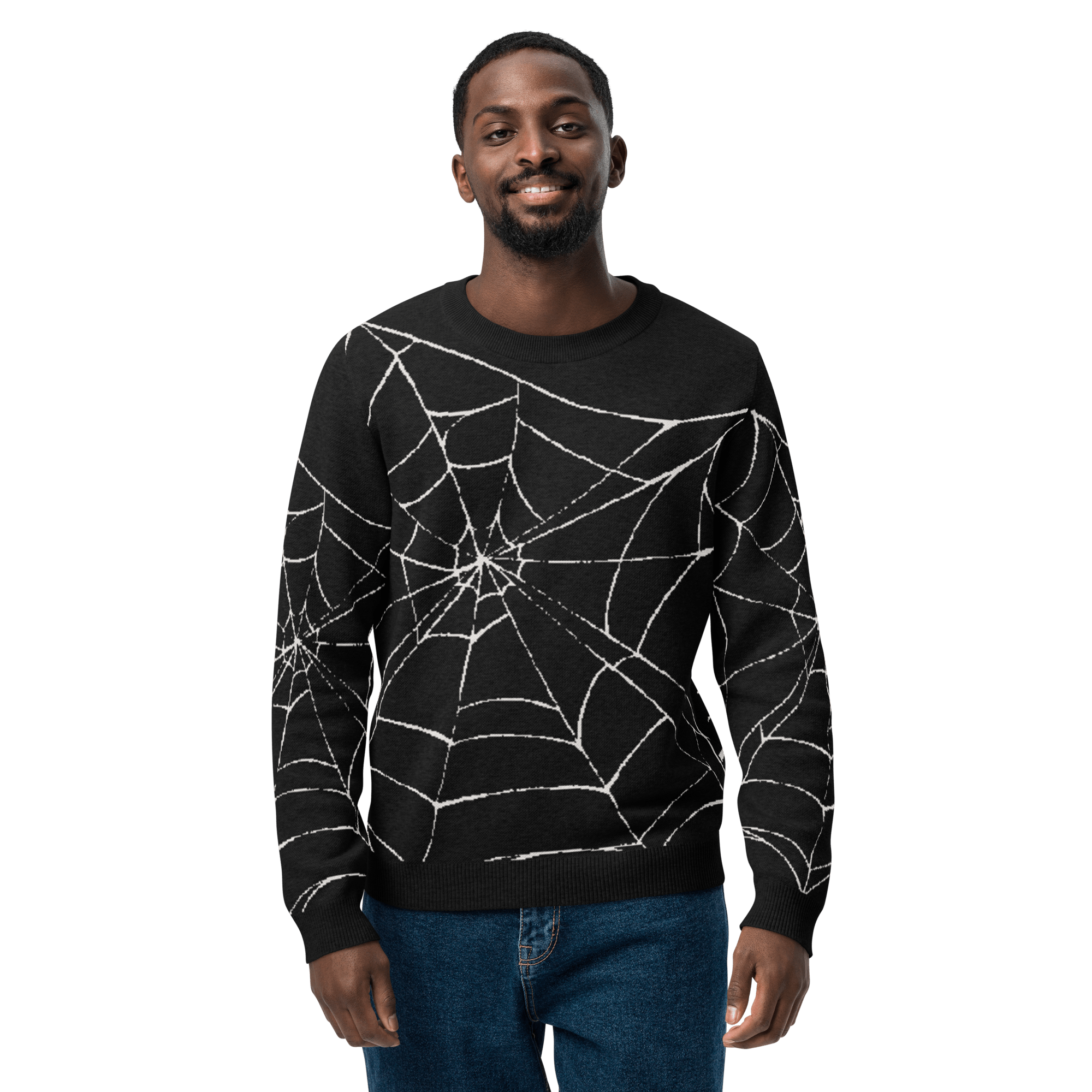 Web Weaver Knit Crew Neck Sweater